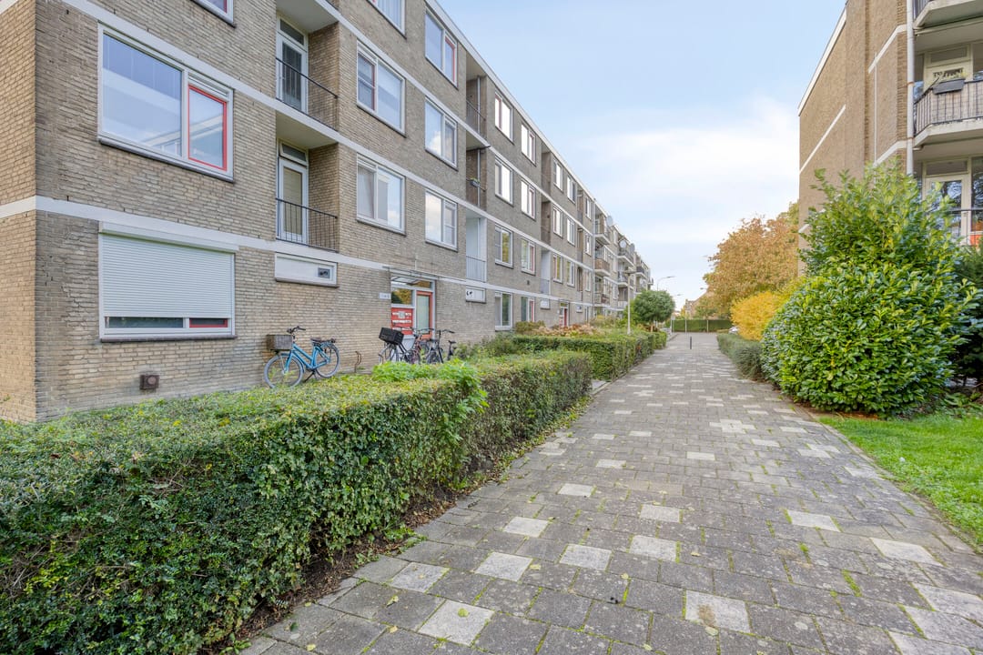 Photo 28 of Zakdragerstraat 11
