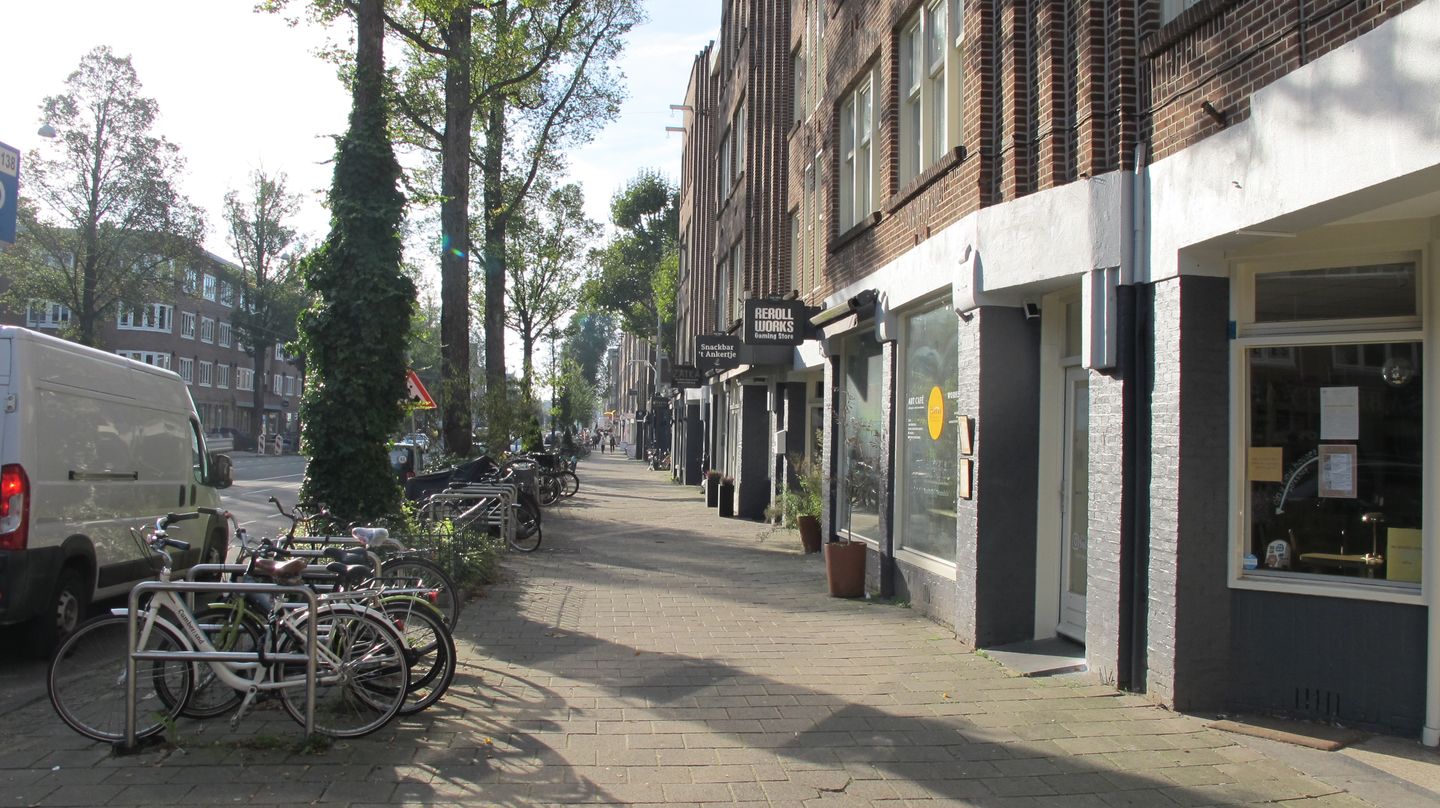 Bekijk foto 3 van Van Woustraat 222-H