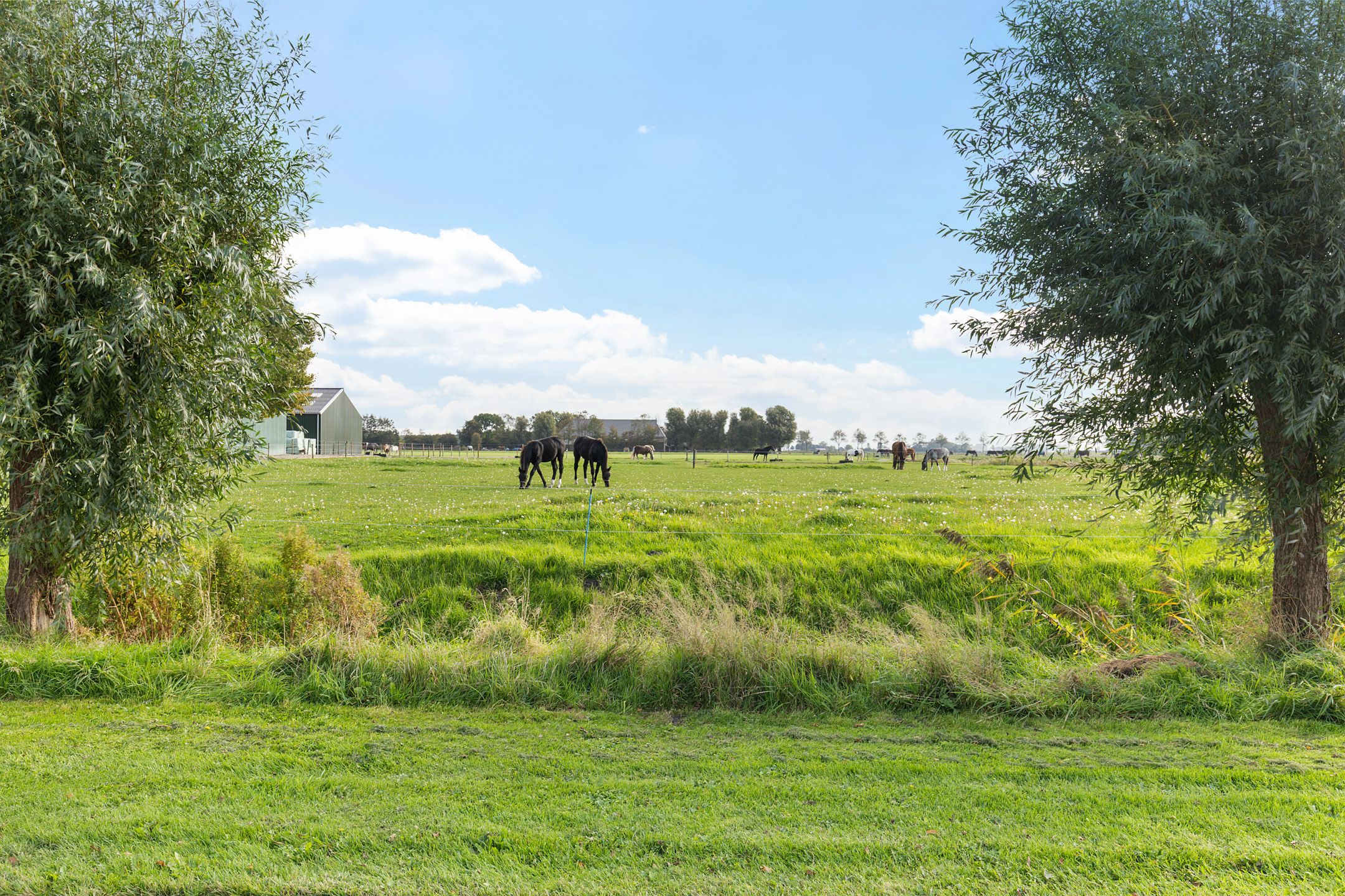 Photo 3 of Langelandsterweg 111