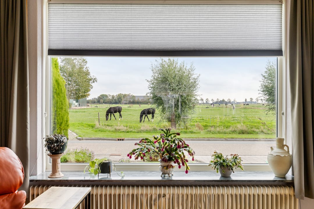 Photo 13 of Langelandsterweg 111