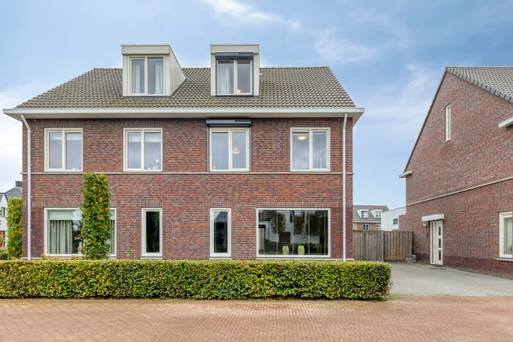 Foto 4 van Zilveren Schoe 36