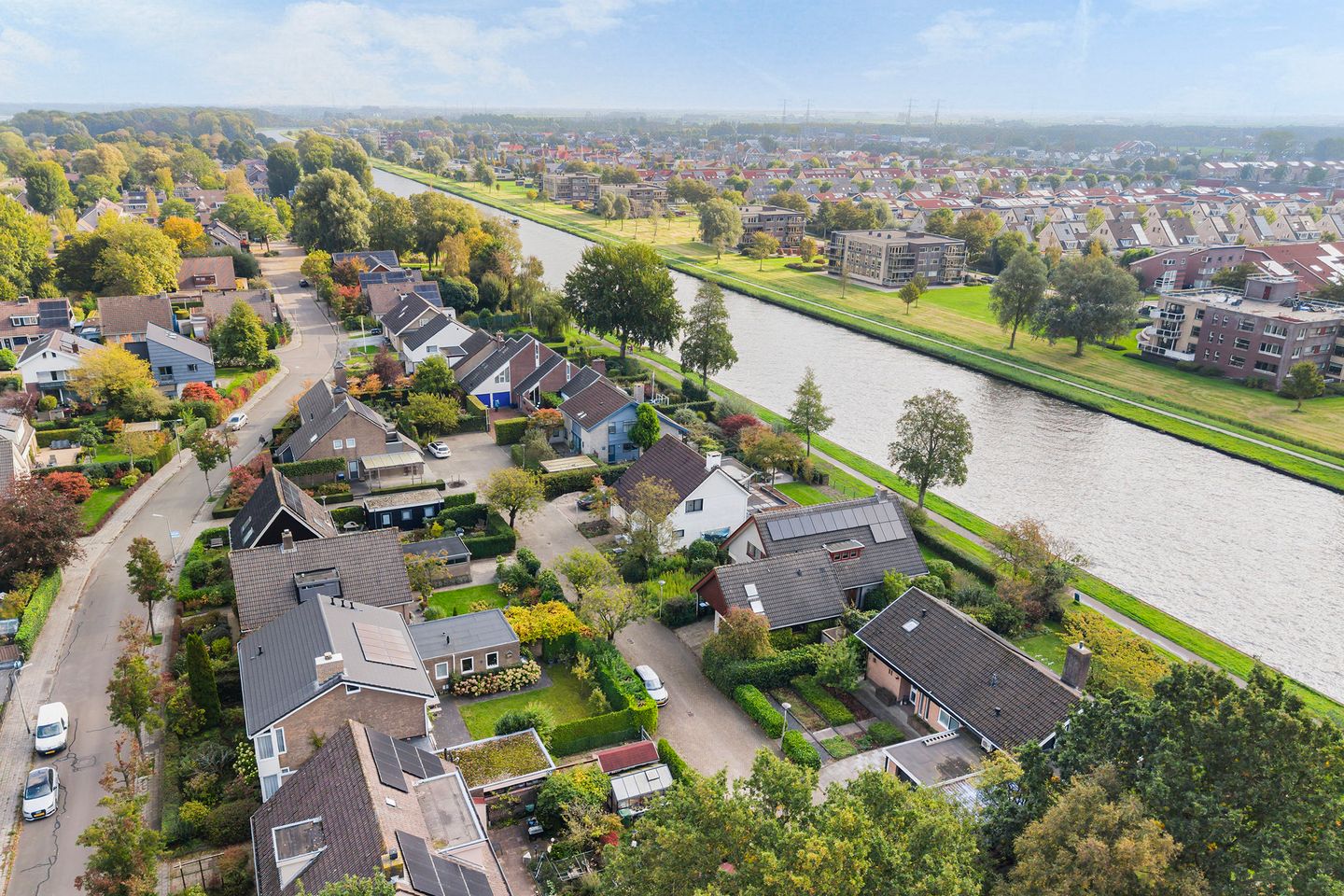 Foto 35 van Longkruid 14