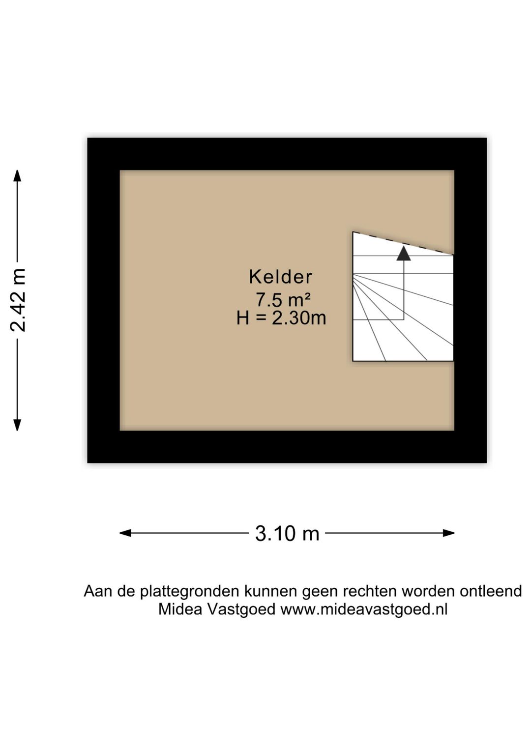 Foto 41 van Longkruid 14