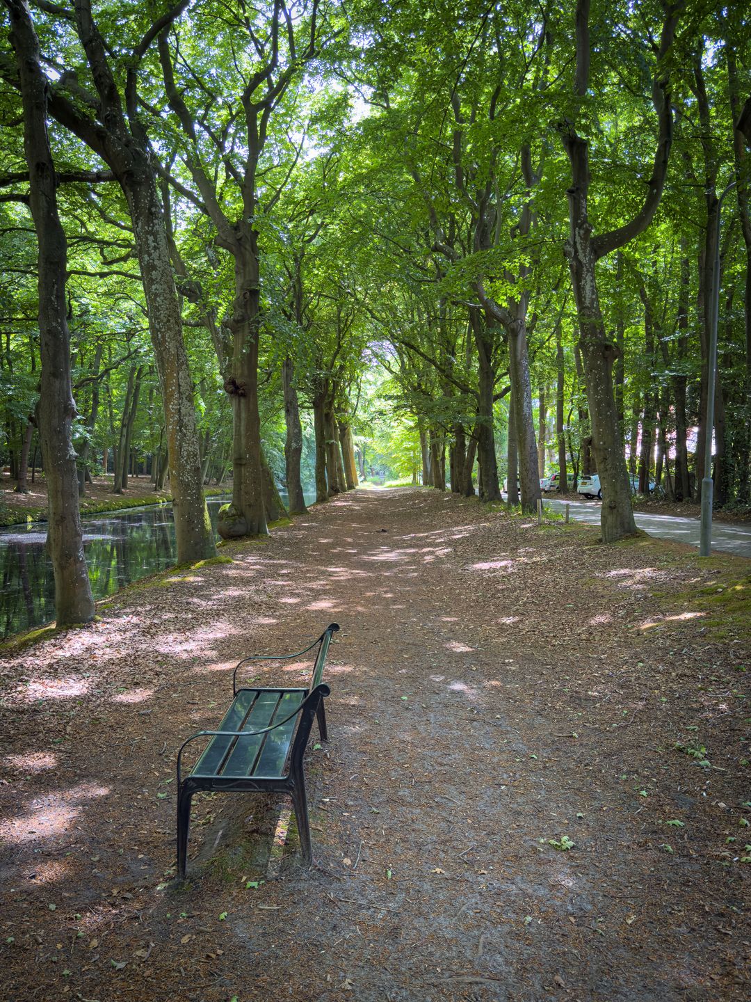 Photo 53 of Eeuwigelaan 25