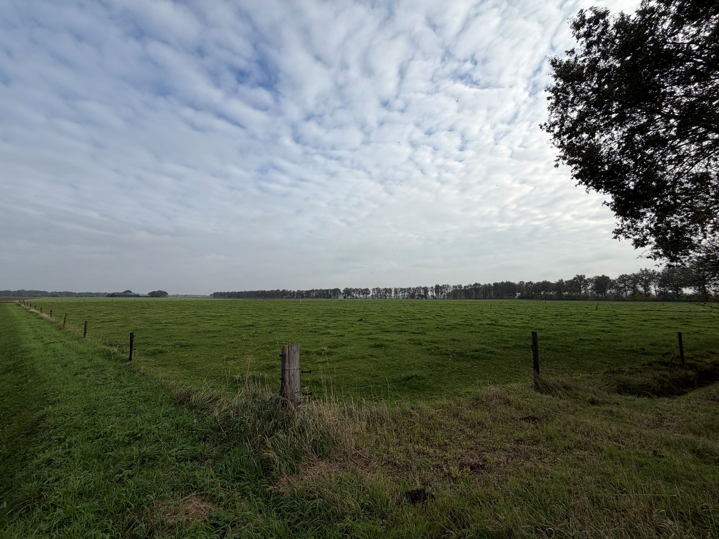 Bekijk foto 3 van Vosheugte