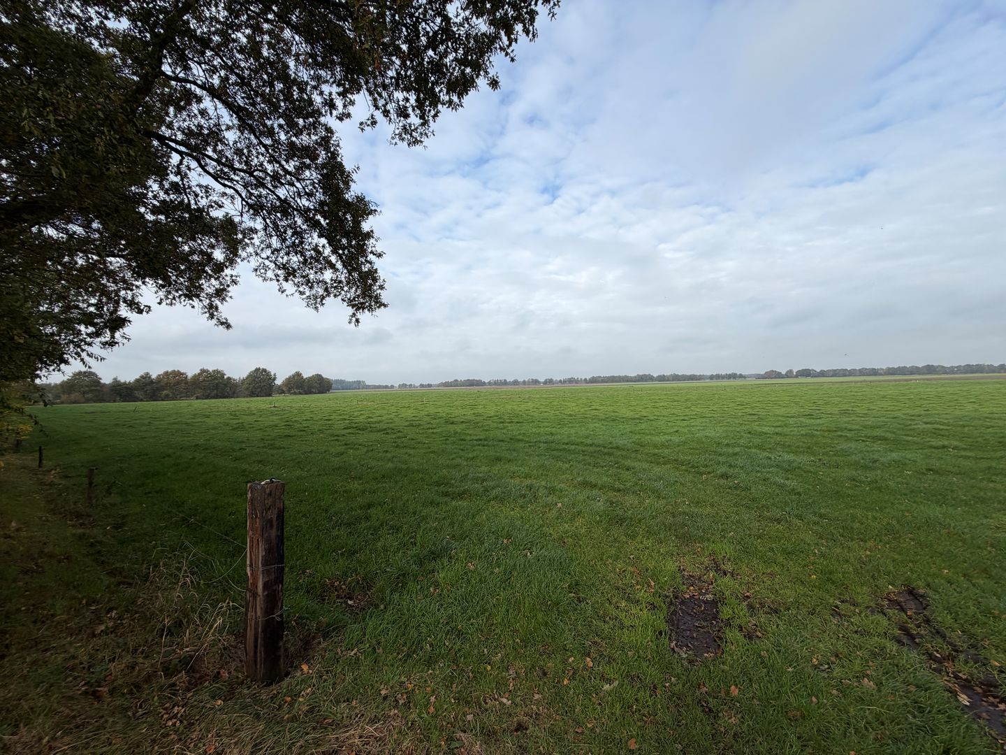 Bekijk foto 4 van Vosheugte