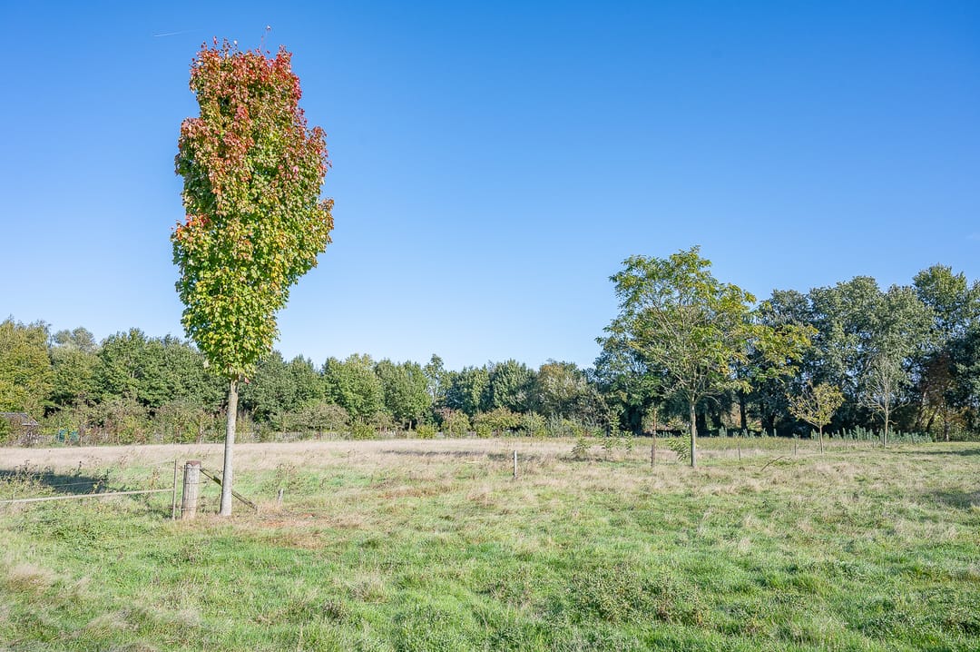 Foto 52 van Kruisbergseweg 19