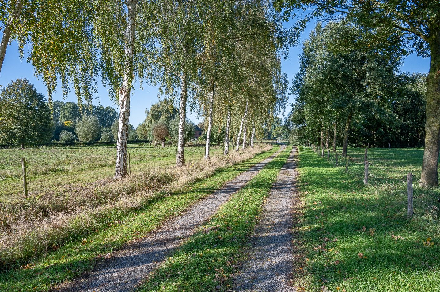 Foto 9 van Kruisbergseweg 19