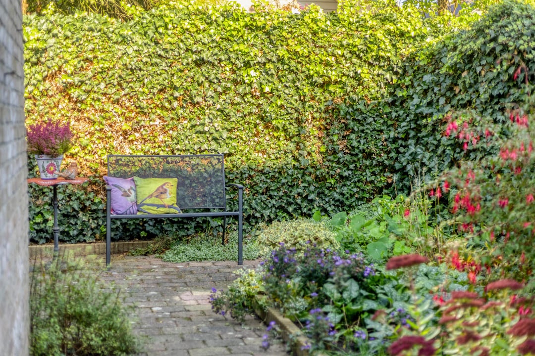 Photo 22 of Molenstraat 29