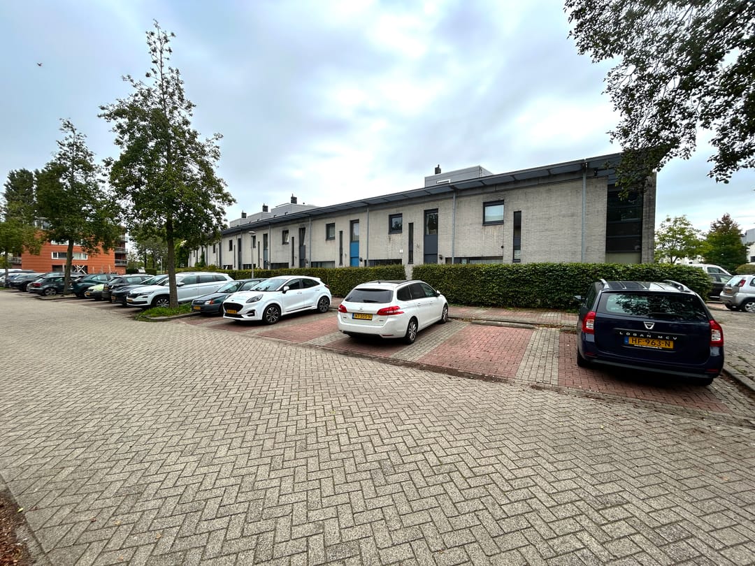Photo 28 of Zilvermeeuw 25