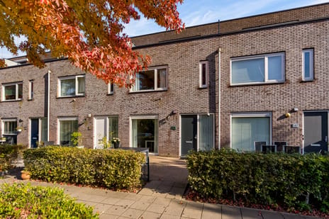 Michelangelostraat thumbnail