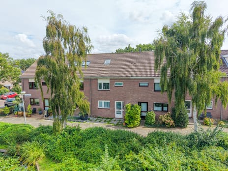 Willem Elsschotsingel thumbnail