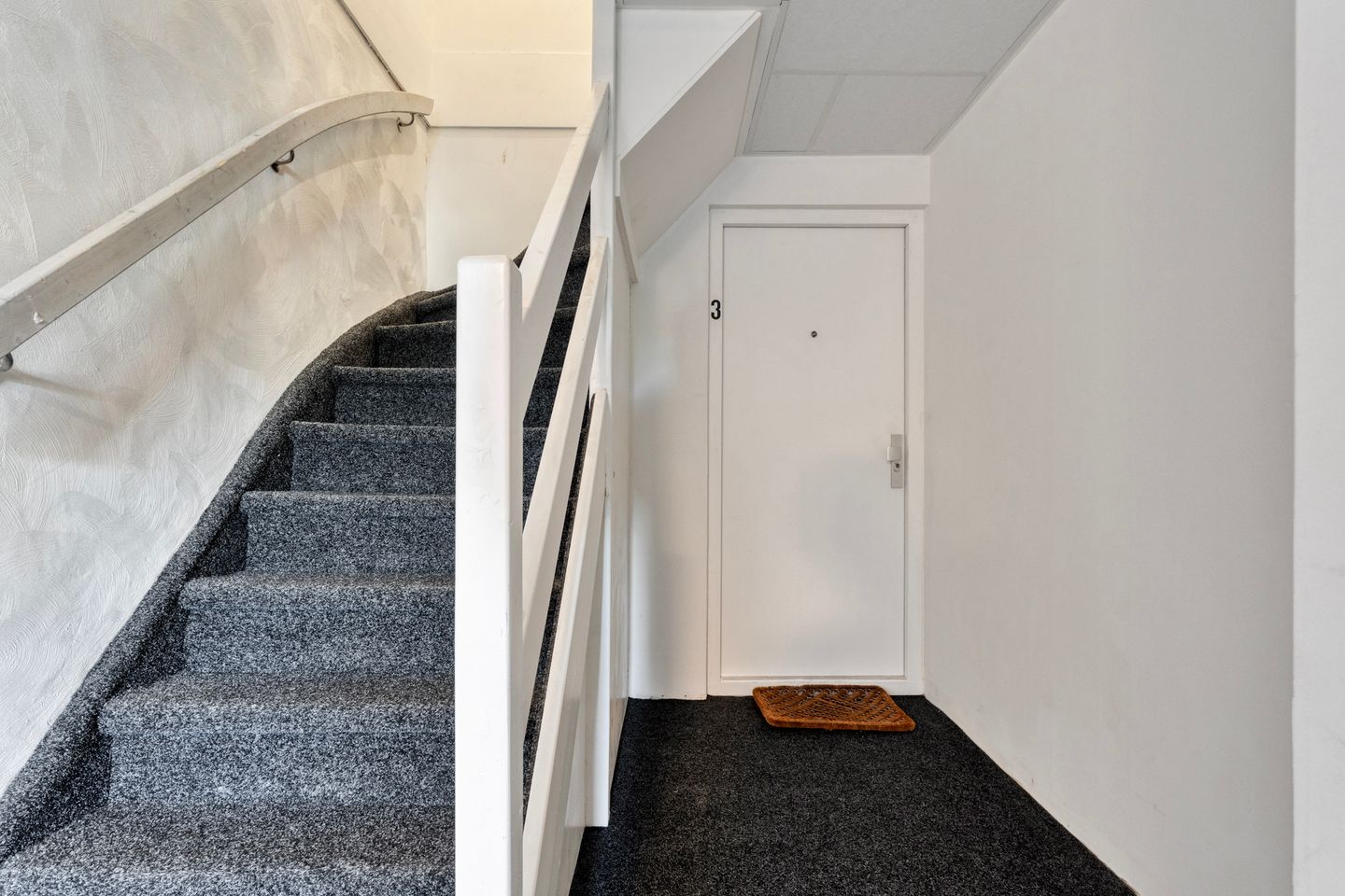 Foto 10 van Rikkerstraat 3