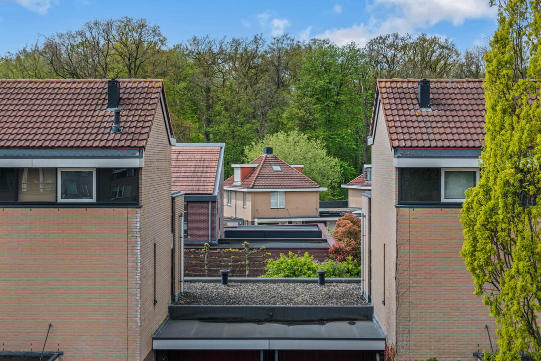 Photo 47 of Stroopkriekstraat 6