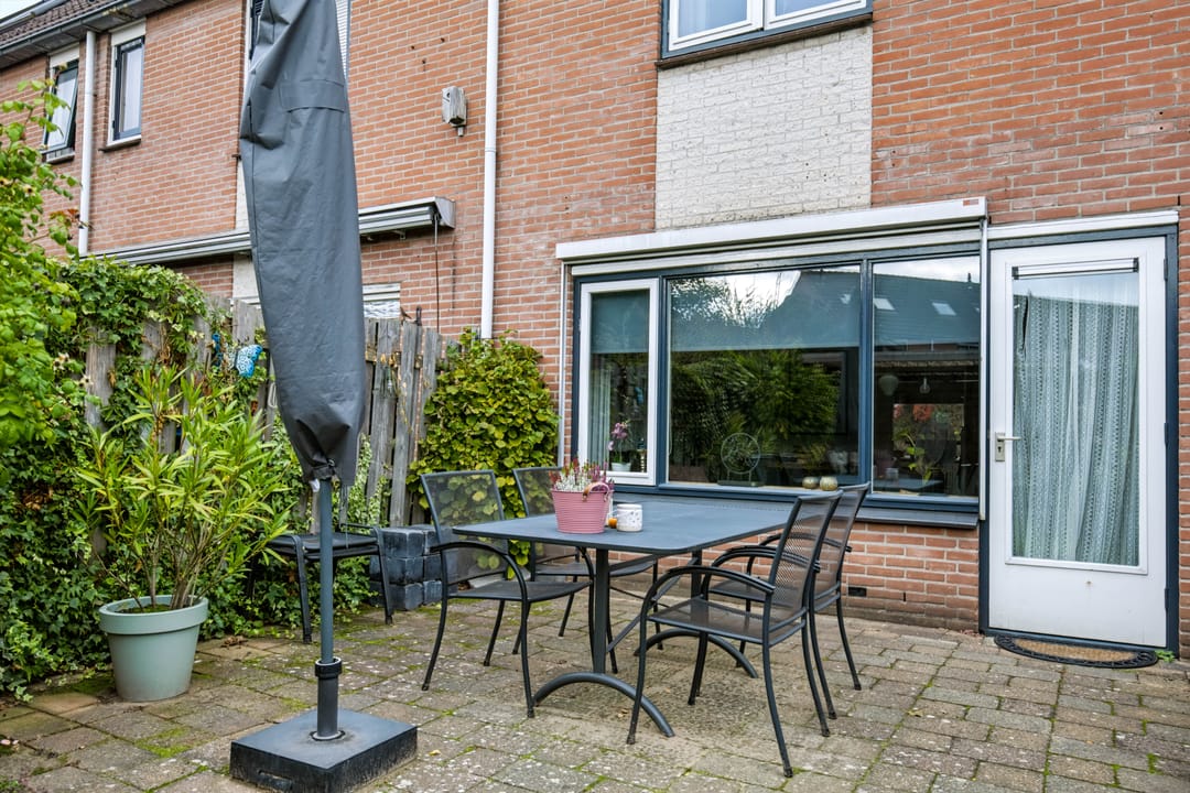 Photo 13 of Veldhommel 61
