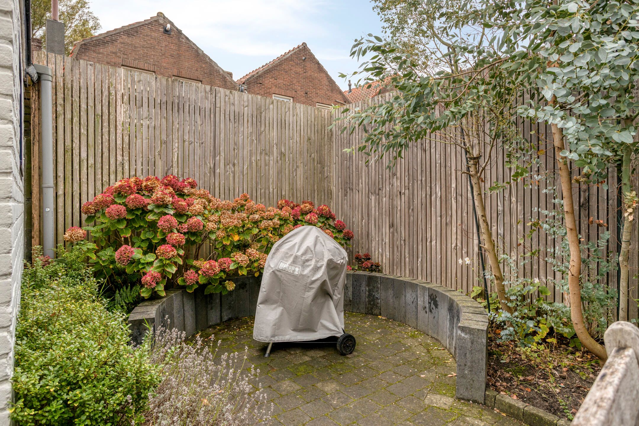 Photo 36 of Singel 284