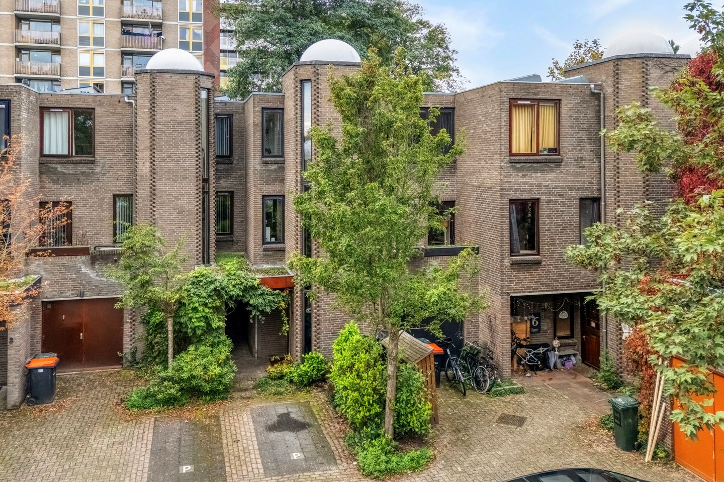Foto 44 van Schelpkreek 5