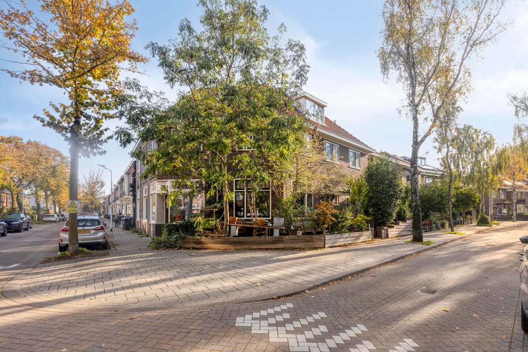 Foto 47 van Govert Flinckstraat 32