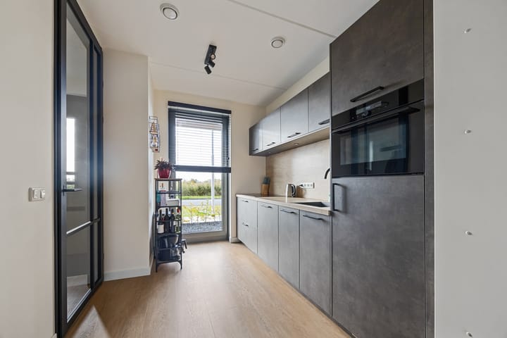 Foto 4 van Schapenveld 3