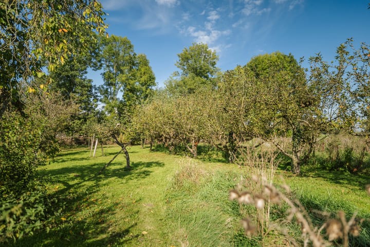 Foto 4 van Kleistraat 1