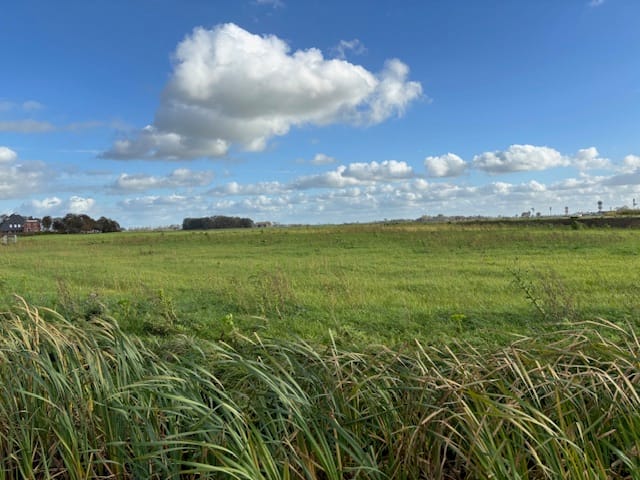 Melkweg/Ter Laan - Bedum - Afbeelding 5