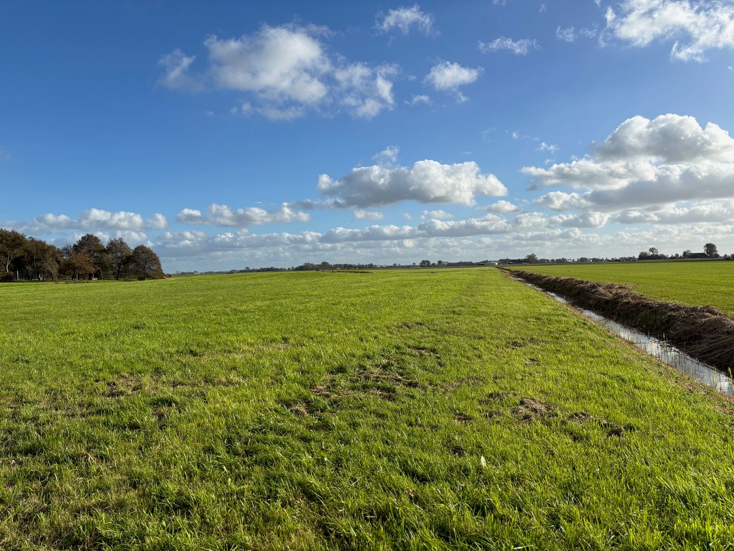 Melkweg/Ter Laan - Bedum - Afbeelding 6